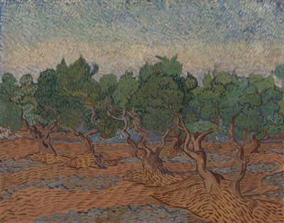 Olive Grove by Vincent van Gogh